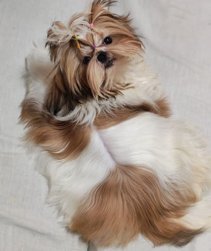 Мальвина
